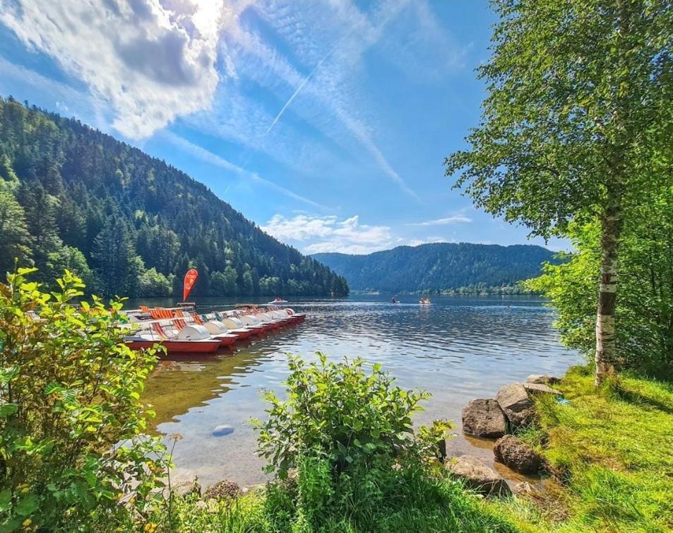 Gite Spa "La Foret Argentee" Proche Gerardmer Laveline-du-Houx ภายนอก รูปภาพ