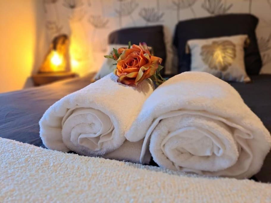 Gite Spa "La Foret Argentee" Proche Gerardmer Laveline-du-Houx ภายนอก รูปภาพ